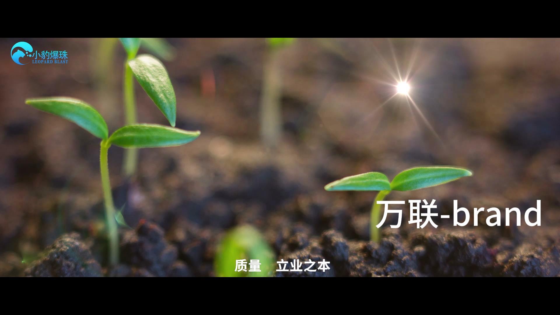 小豹爆珠-宣傳片